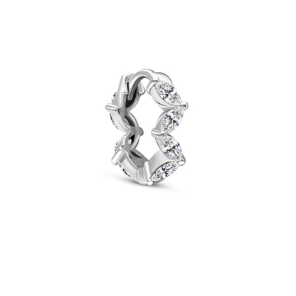 The Branch Ring