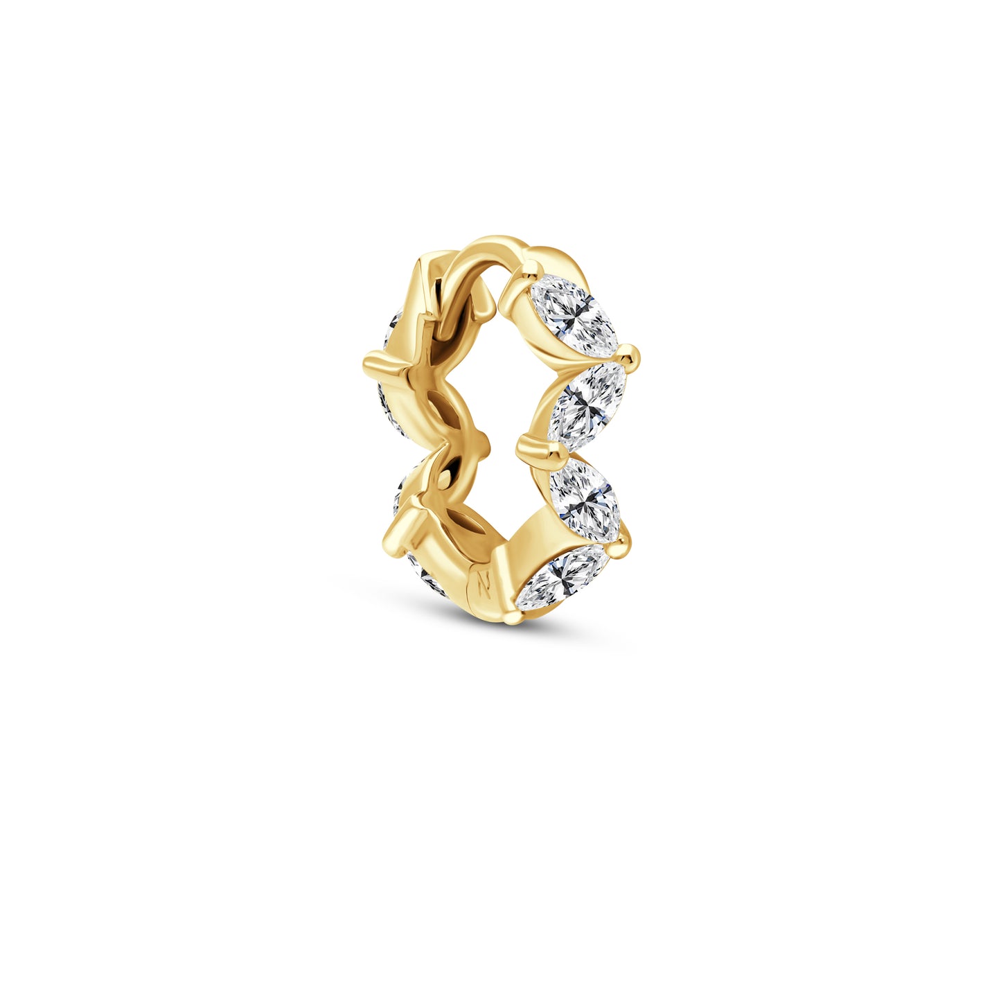 The Branch Ring