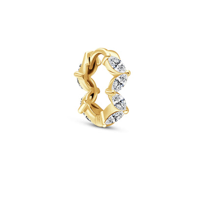 The Branch Ring