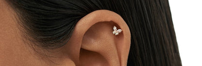 Butterfly Stud
